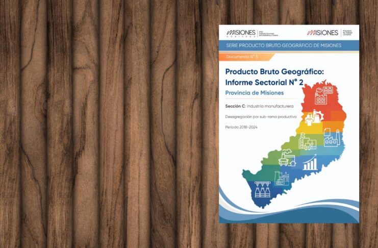 Serie Producto Bruto Geográfico de Misiones – Informe Sectorial N° 2: Industria manufacturera (Sección C), período 2018-2024