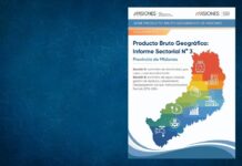 Informe Sectorial N° 3. Sectores D y E. Período 2018-2024