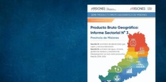 Informe Sectorial N° 3. Sectores D y E. Período 2018-2024