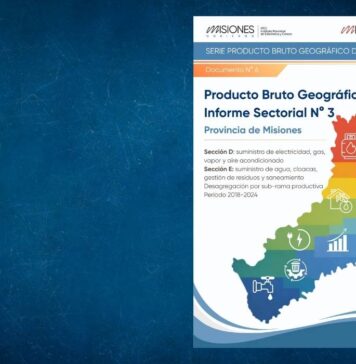 Informe Sectorial N° 3. Sectores D y E. Período 2018-2024