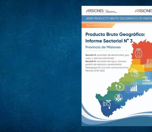 Informe Sectorial N° 3. Sectores D y E. Período 2018-2024