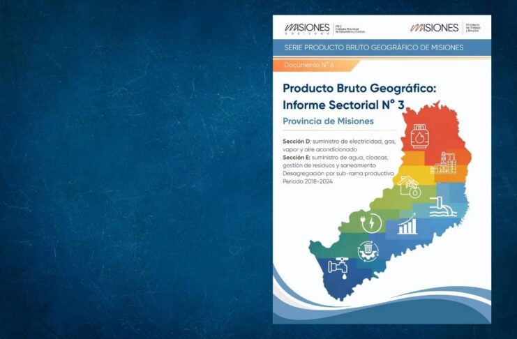 Informe Sectorial N° 3. Sectores D y E. Período 2018-2024