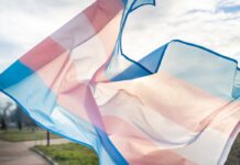 Población Trans en Misiones | Años 2020-2025