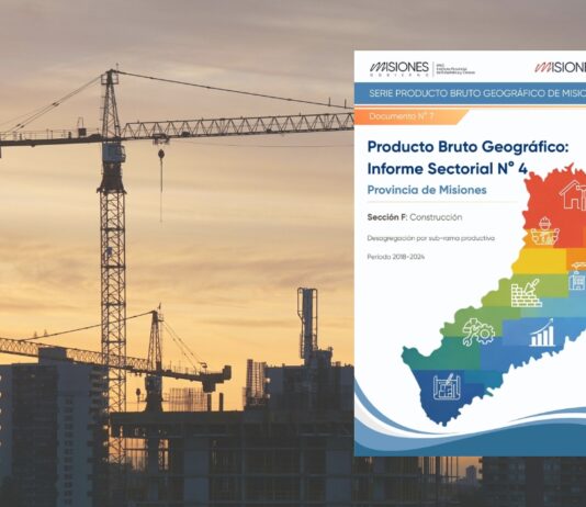 Informe Sectorial N° 4. Sector F. Período 2018-2024
