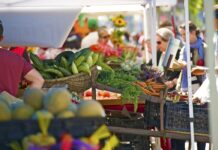 Índice de Precios de Ferias Francas Provincial | Julio 2026