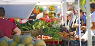 Índice de Precios de Ferias Francas Provincial | Julio 2026