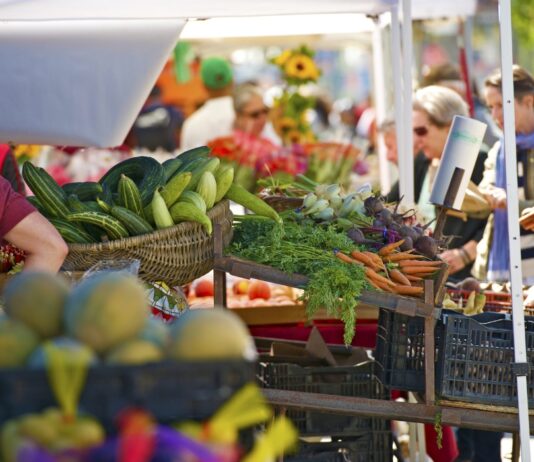 Índice de Precios de Ferias Francas Provincial | Julio 2026