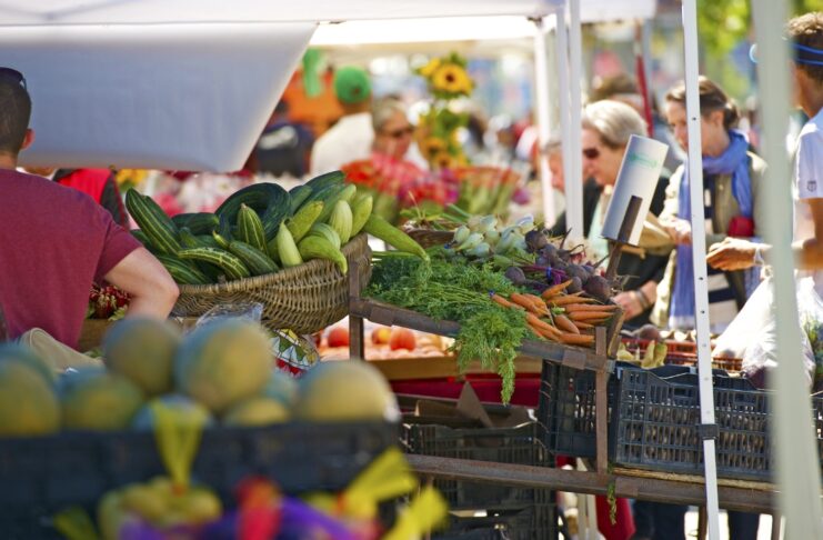 Índice de Precios de Ferias Francas Provincial | Julio 2026