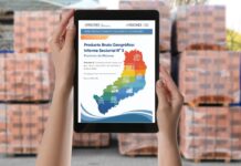 Informe Sectorial N° 5. Sector G. Período 2018-2024