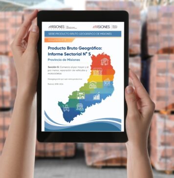 Informe Sectorial N° 5. Sector G. Período 2018-2024