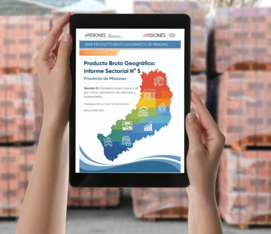 Informe Sectorial N° 5. Sector G. Período 2018-2024