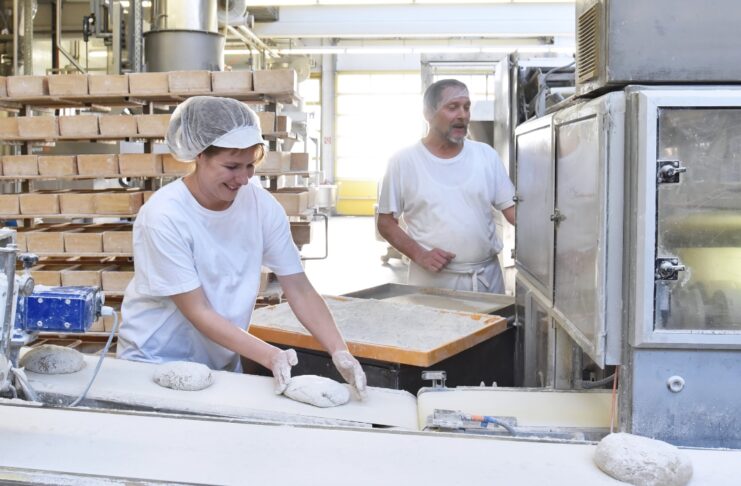Mercado de trabajo en Posadas | Segundo trimestre de 2026