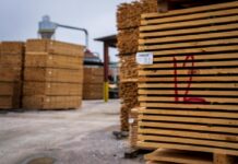 Exportaciones de Misiones | Primer semestre 2026