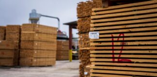 Exportaciones de Misiones | Primer semestre 2026