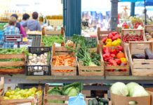 Índice de Precios de Ferias Francas Provincial | Agosto 2026