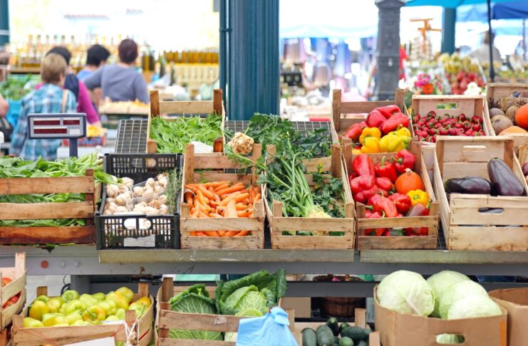 Índice de Precios de Ferias Francas Provincial | Agosto 2026